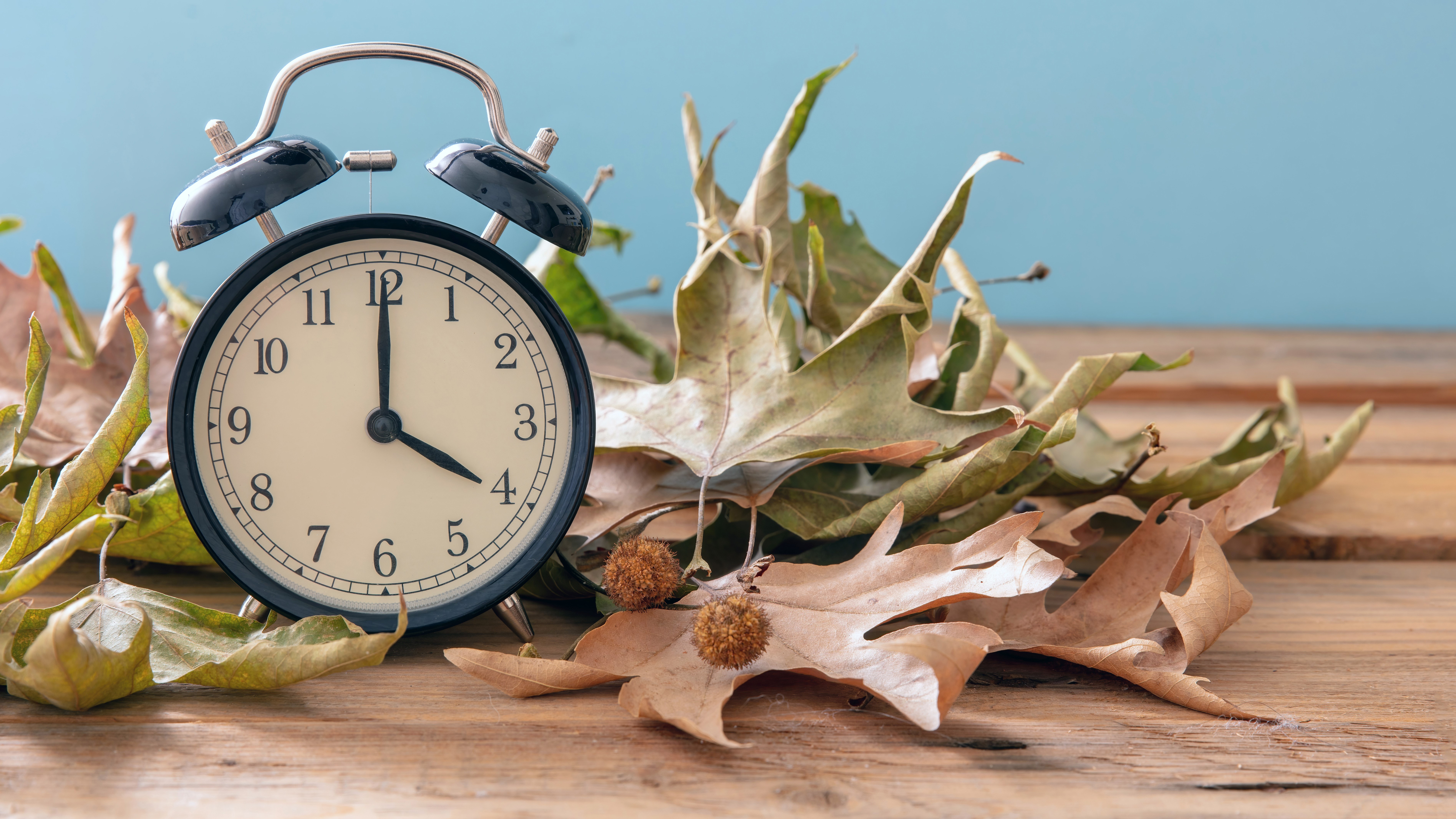 Daylight Savings Time Starts