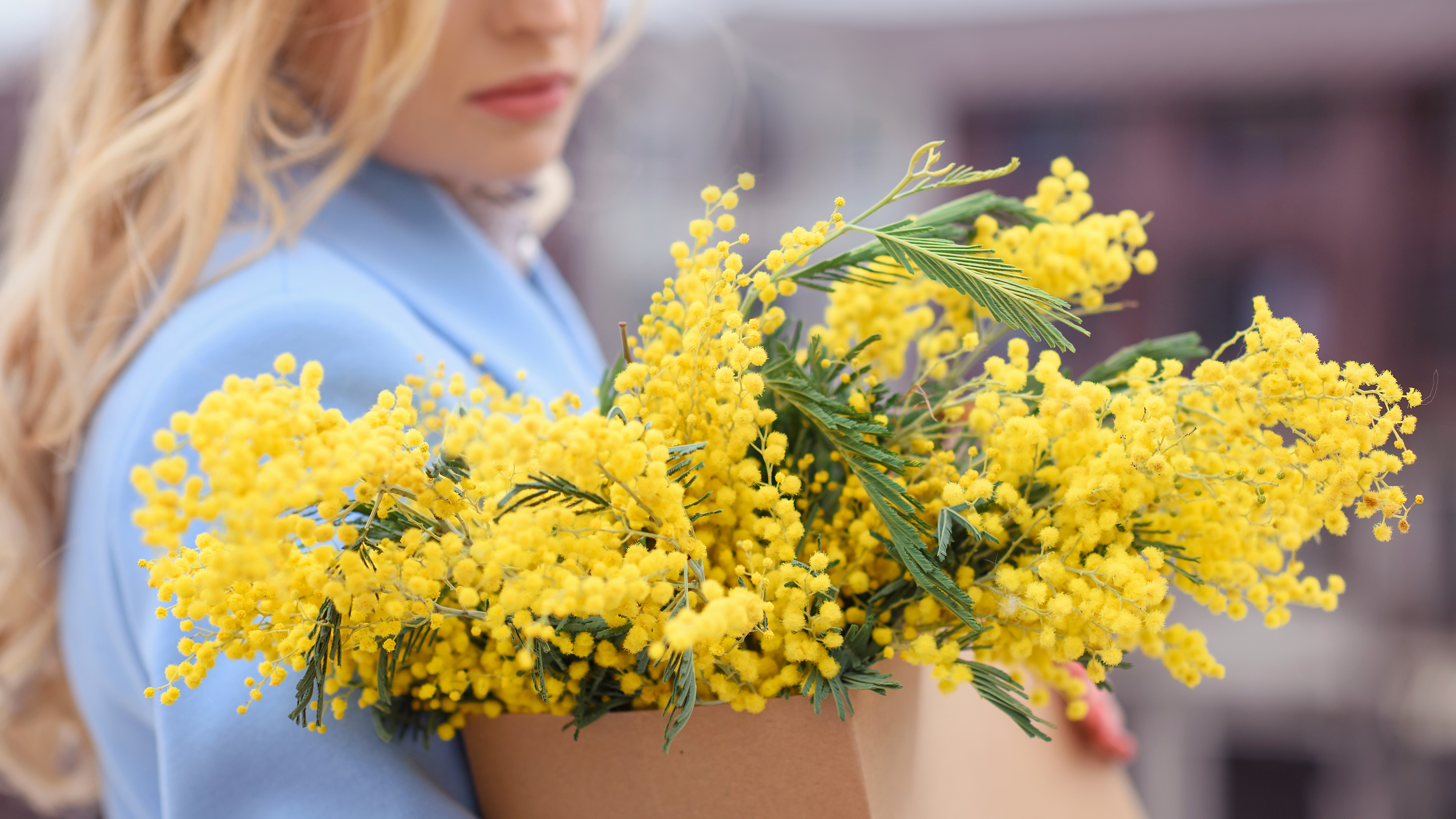 National Wattle Day