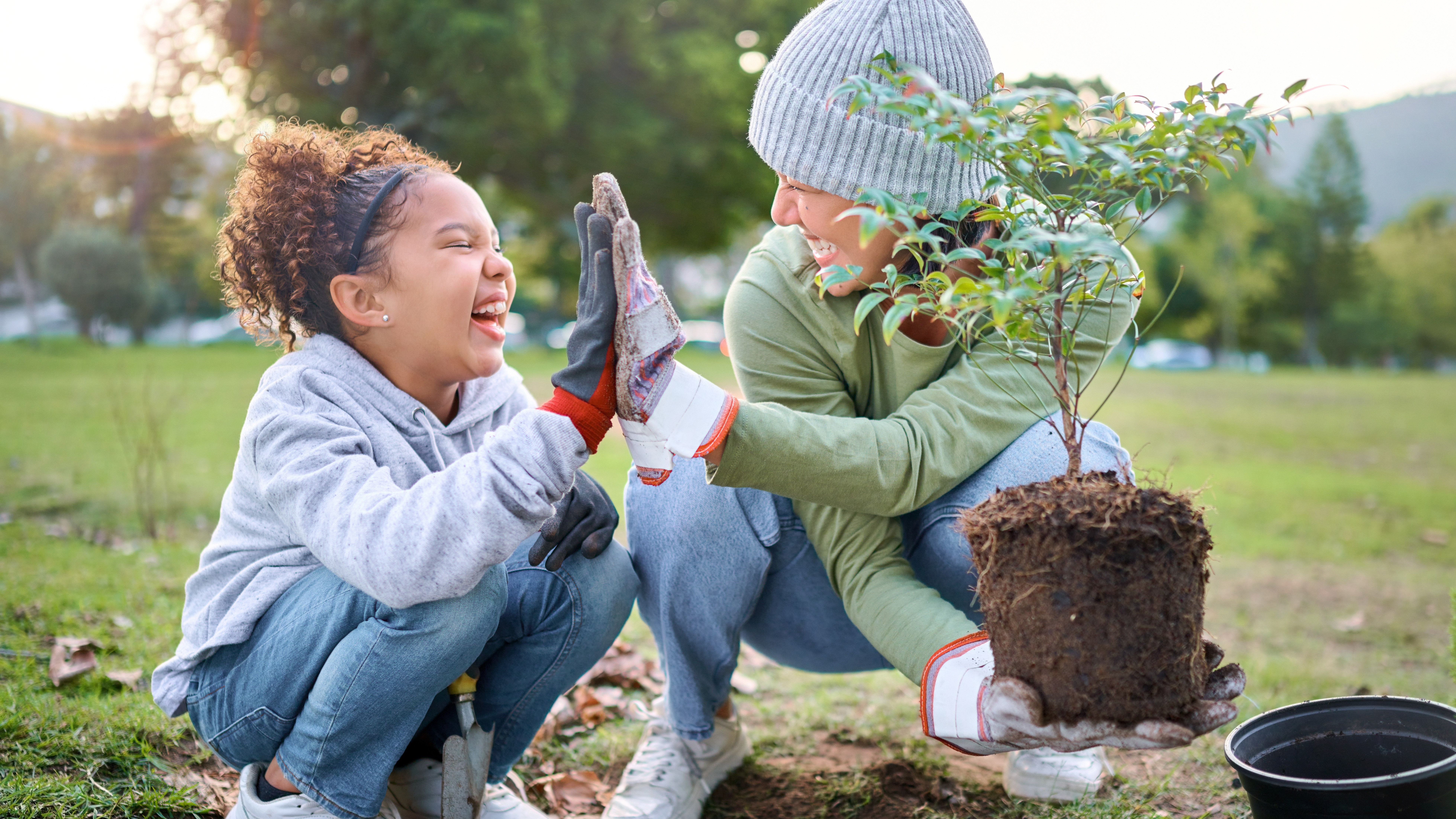 Schools Tree Day