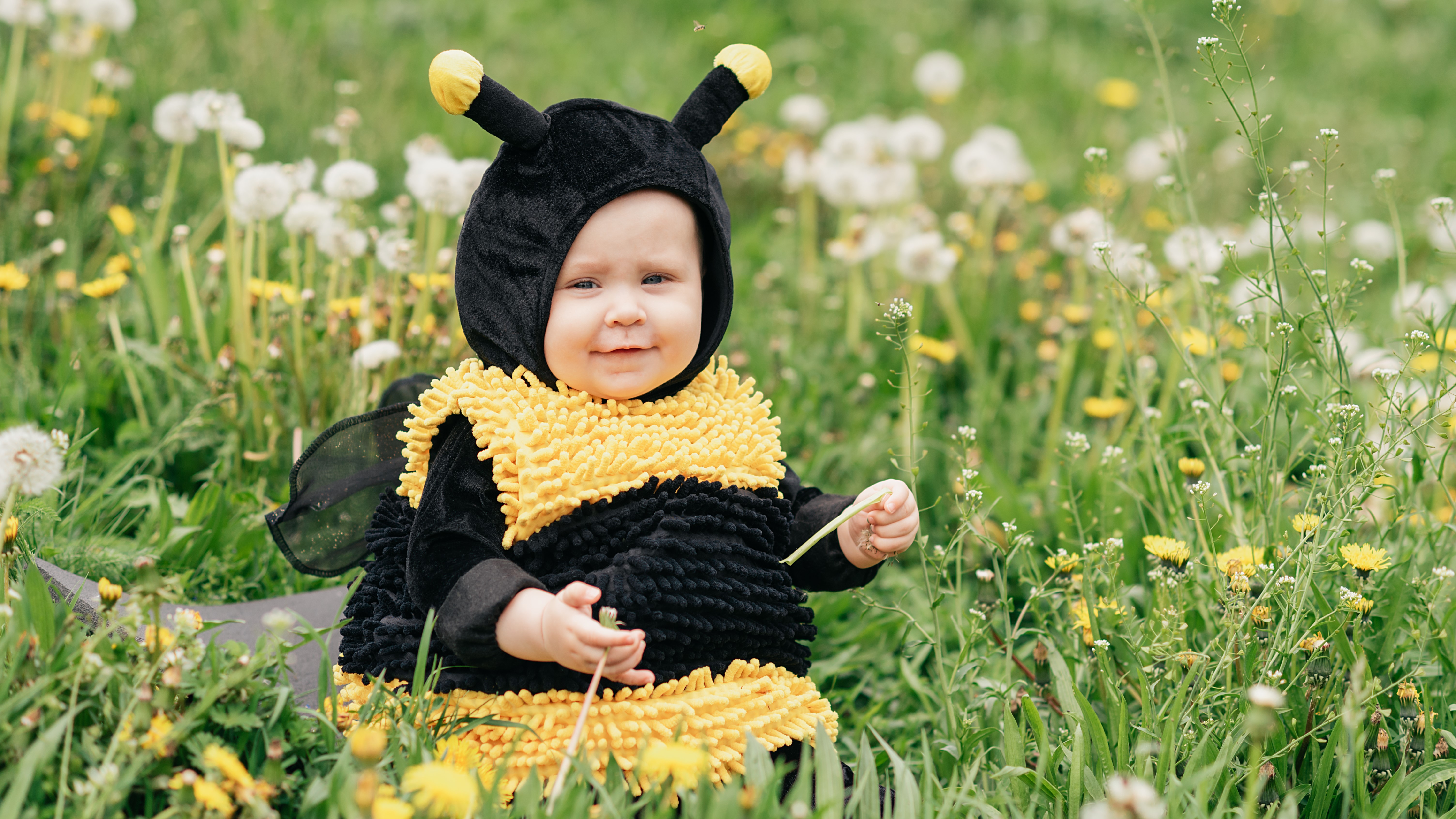 World Bee Day
