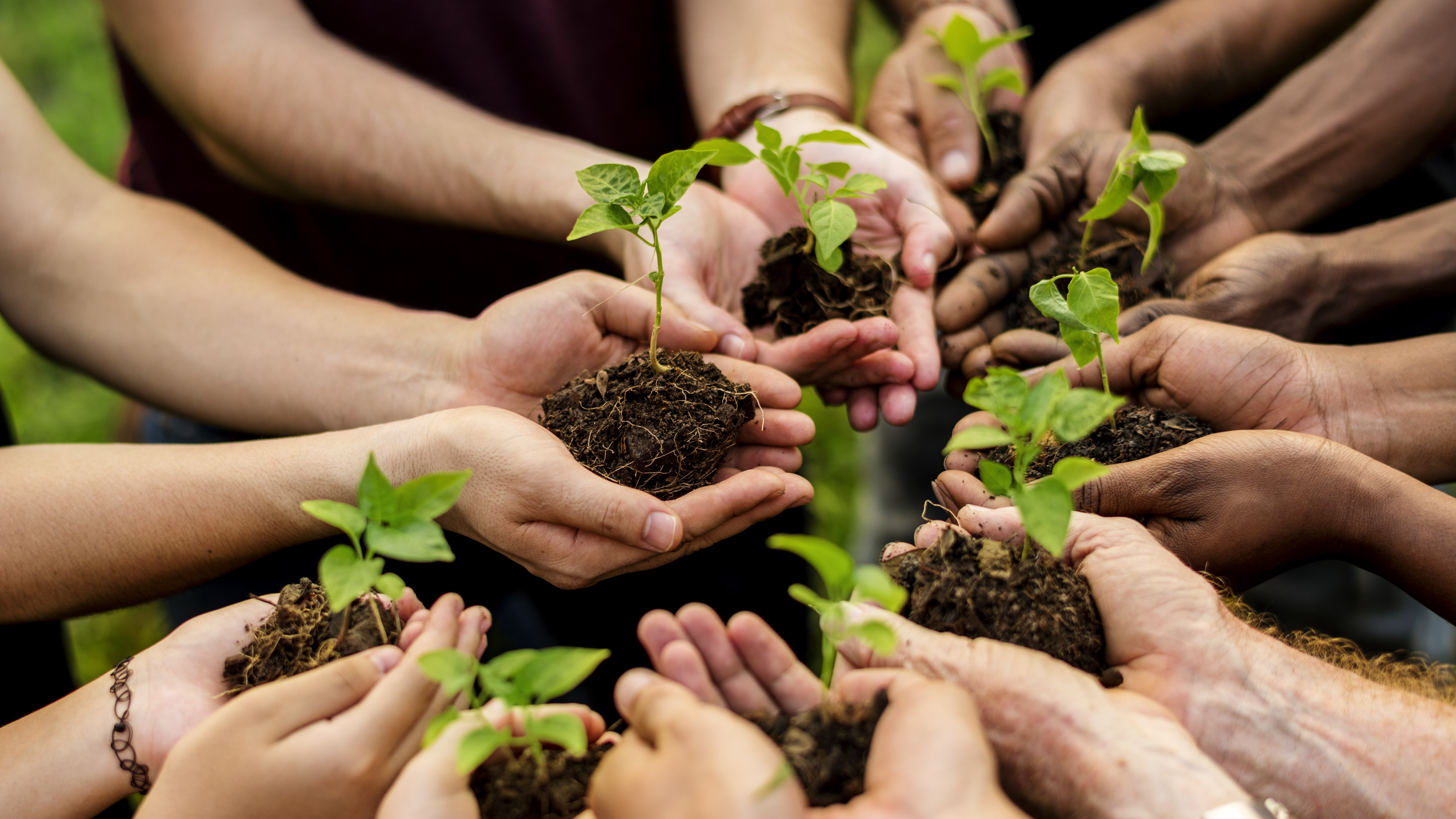 World Environment Day