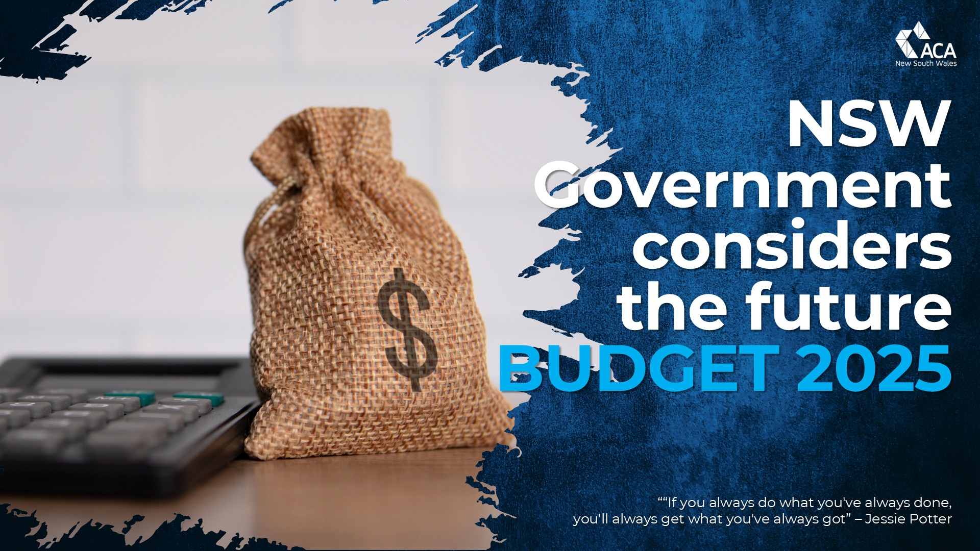 Submission for NSW Government's Budget 2025