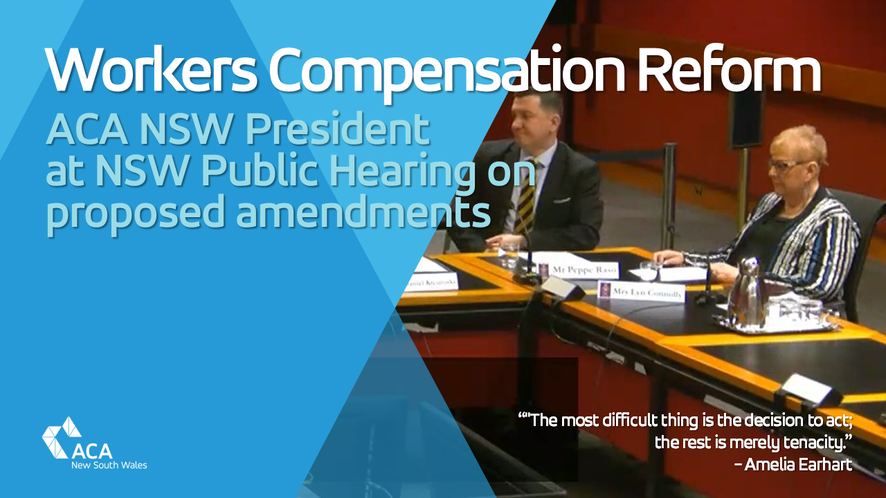 ACA NSW President Lyn Connolly at NSW Parliament House for Public Hearing on Workers Compensation Reform