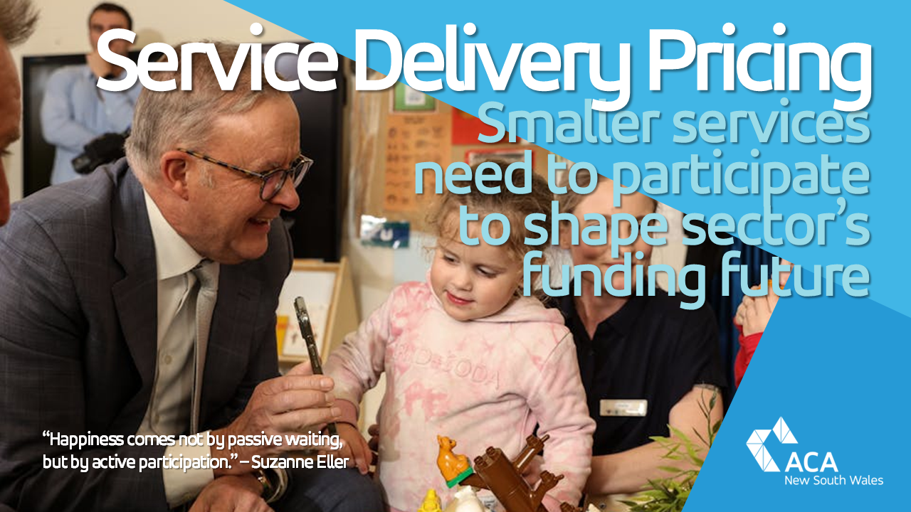 What is the Federal Government's Service Delivery Price Project?