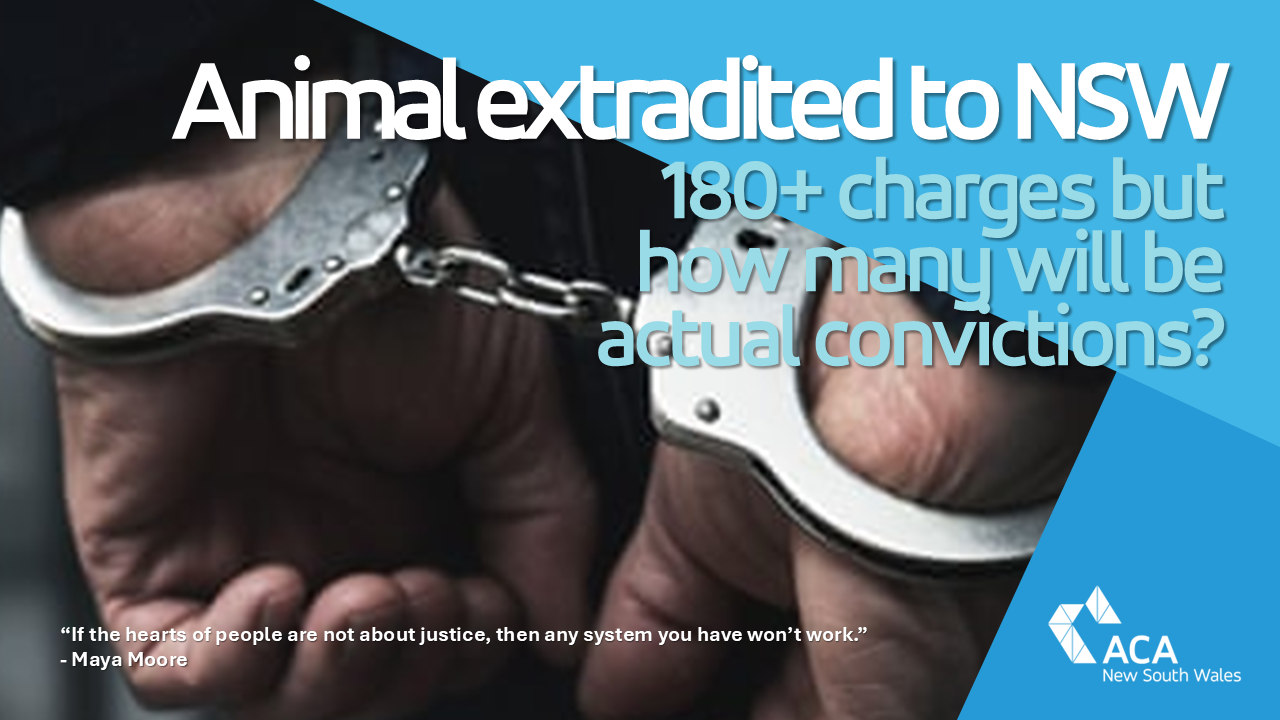 Animal FINALLY extradited to NSW but ...