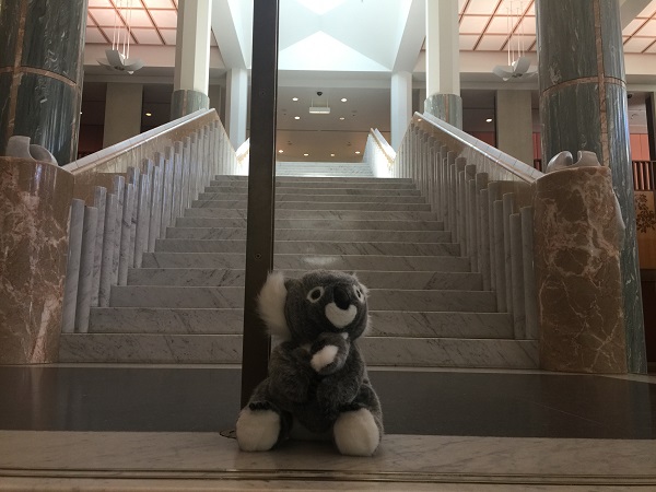 Cooee ACA NSW mascot