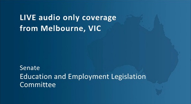 ACA President presents at Senate Hearing